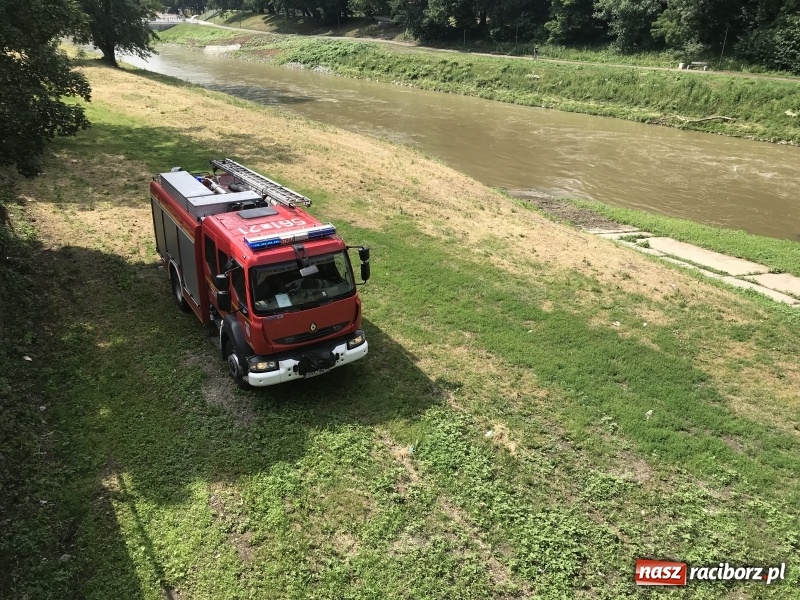 Zdjęcie w galerii na portalu naszraciborz.pl: Akcja na moście Zamkowym. Strażacy ratowali dziewczynę, która chciała skoczyć do Odry wiadomości z regionu