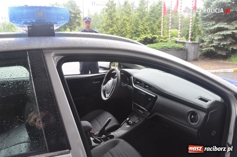 Zdjęcie w galerii na portalu naszraciborz.pl: Raciborska policja przesiada się do toyot z napędem hybrydowym wiadomości z regionu