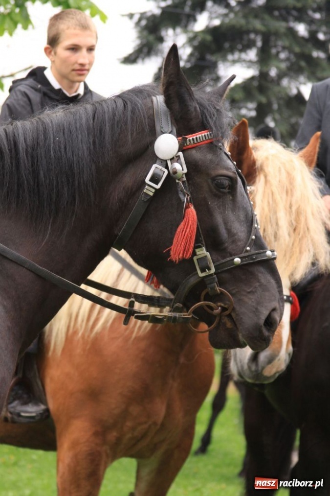 Zdjęcie w galerii na portalu naszraciborz.pl: Prosili o urodzaj, rzucając jajami wiadomości z regionu
