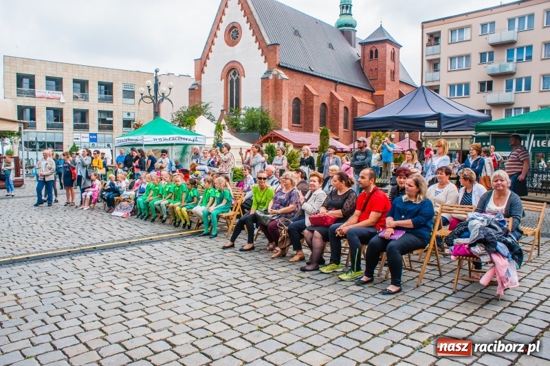 Zdjęcie w galerii na portalu naszraciborz.pl: Festyn ekologiczny na raciborskim Rynku wiadomości z regionu