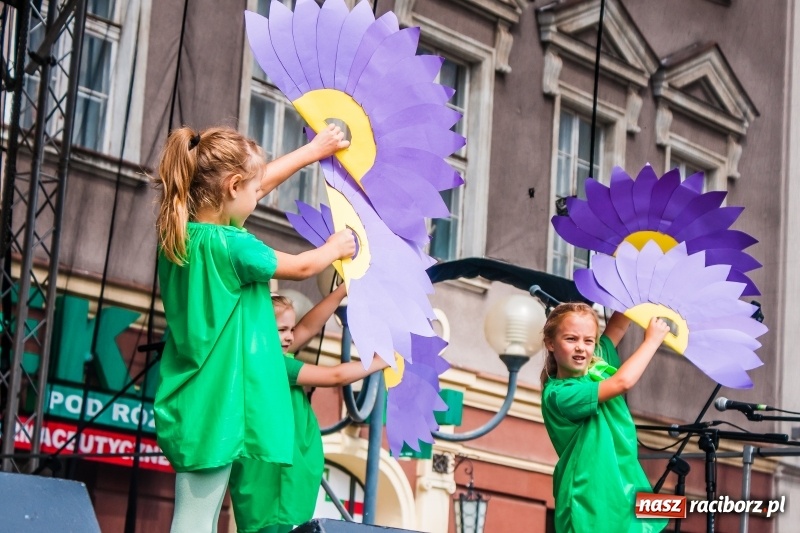 Zdjęcie w galerii na portalu naszraciborz.pl: Festyn ekologiczny na raciborskim Rynku wiadomości z regionu