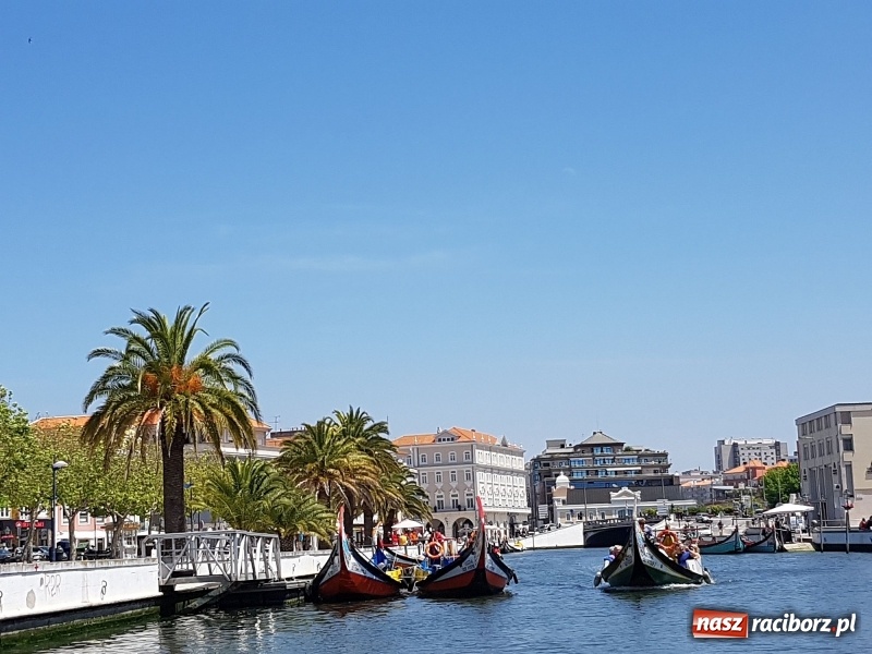 Zdjęcie w galerii na portalu naszraciborz.pl: Racuchy z jabłkami – czyli jak uczniowie Budowlanki zdobywają serca Portugalczyków  wiadomości z regionu