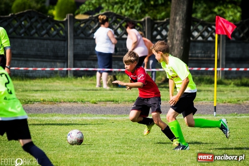 Zdjęcie w galerii na portalu naszraciborz.pl: Międzynarodowy Turniej Piłkarski o Puchar Wójta Gminy Krzyżanowice wiadomości z regionu