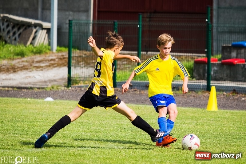 Zdjęcie w galerii na portalu naszraciborz.pl: Międzynarodowy Turniej Piłkarski o Puchar Wójta Gminy Krzyżanowice wiadomości z regionu