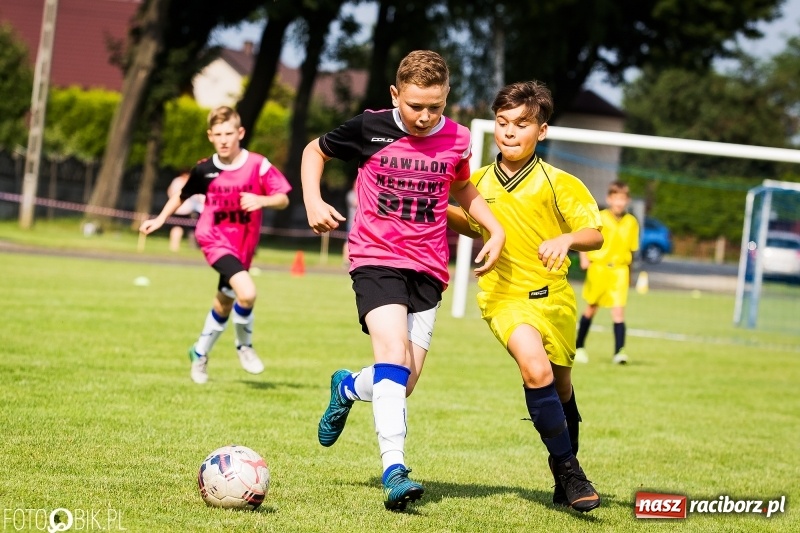 Zdjęcie w galerii na portalu naszraciborz.pl: Międzynarodowy Turniej Piłkarski o Puchar Wójta Gminy Krzyżanowice wiadomości z regionu