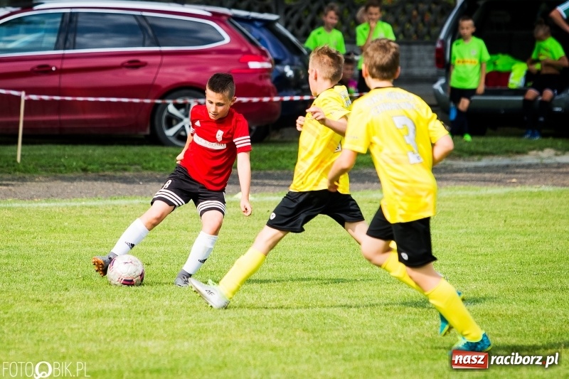 Zdjęcie w galerii na portalu naszraciborz.pl: Międzynarodowy Turniej Piłkarski o Puchar Wójta Gminy Krzyżanowice wiadomości z regionu