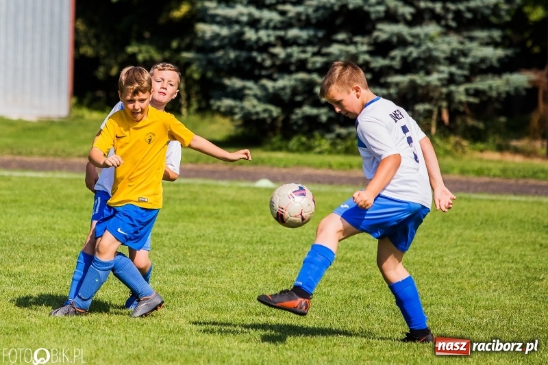 Zdjęcie w galerii na portalu naszraciborz.pl: Drugi dzień turnieju piłkarskiego w Tworkowie wiadomości z regionu