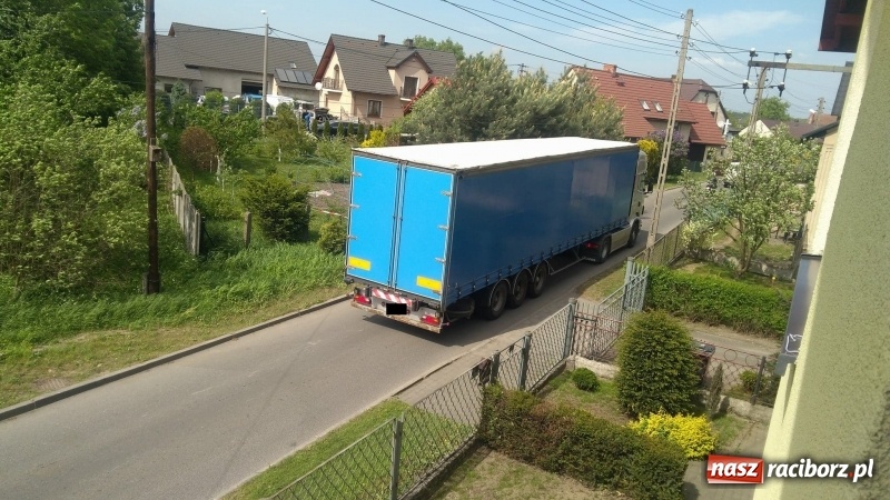 Zdjęcie w galerii na portalu naszraciborz.pl: Fotopułapka udokumentowała w Raciborzu ponad sto wykroczeń w jednym miejscu! wiadomości z regionu