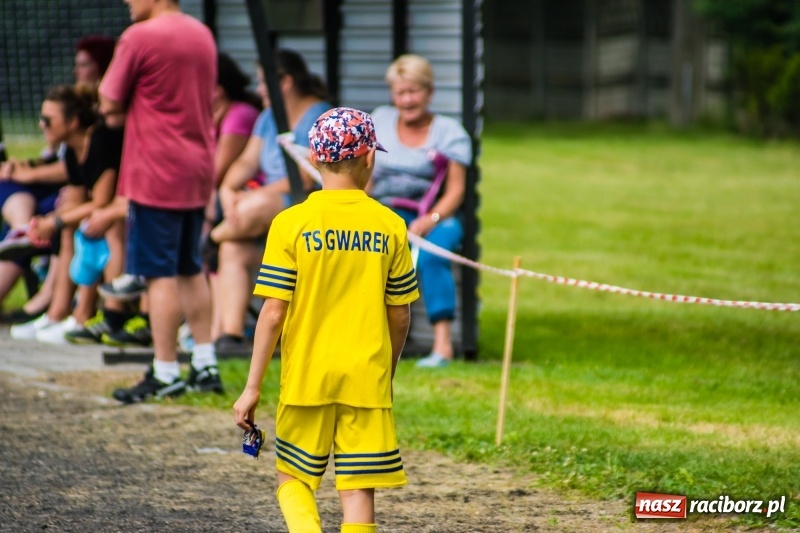 Zdjęcie w galerii na portalu naszraciborz.pl: Piłkarskie zmagania żaków młodszych podczas Tworków Cup 2018 wiadomości z regionu