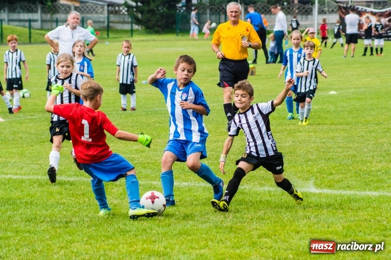 Zdjęcie w galerii na portalu naszraciborz.pl: Piłkarskie zmagania żaków młodszych podczas Tworków Cup 2018 wiadomości z regionu