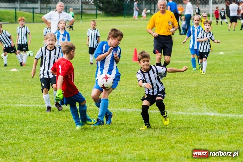 Zdjęcie w galerii na portalu naszraciborz.pl: Piłkarskie zmagania żaków młodszych podczas Tworków Cup 2018 wiadomości z regionu