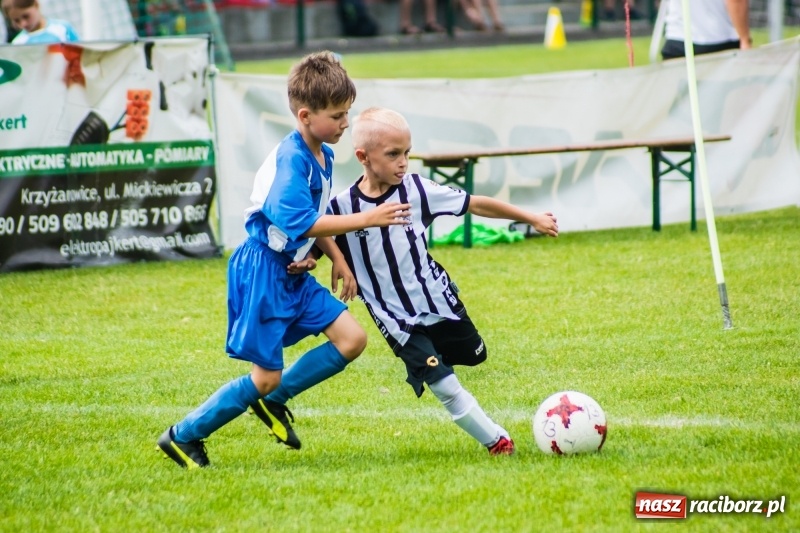 Zdjęcie w galerii na portalu naszraciborz.pl: Piłkarskie zmagania żaków młodszych podczas Tworków Cup 2018 wiadomości z regionu