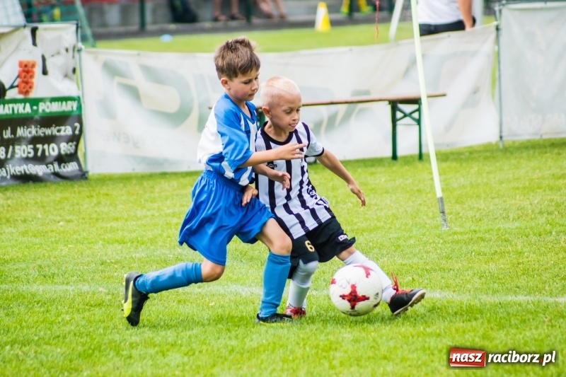 Zdjęcie w galerii na portalu naszraciborz.pl: Piłkarskie zmagania żaków młodszych podczas Tworków Cup 2018 wiadomości z regionu