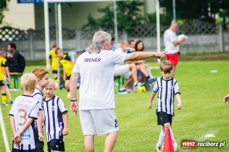 Zdjęcie w galerii na portalu naszraciborz.pl: Piłkarskie zmagania żaków młodszych podczas Tworków Cup 2018 wiadomości z regionu