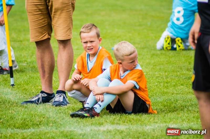 Zdjęcie w galerii na portalu naszraciborz.pl: Piłkarskie zmagania żaków młodszych podczas Tworków Cup 2018 wiadomości z regionu