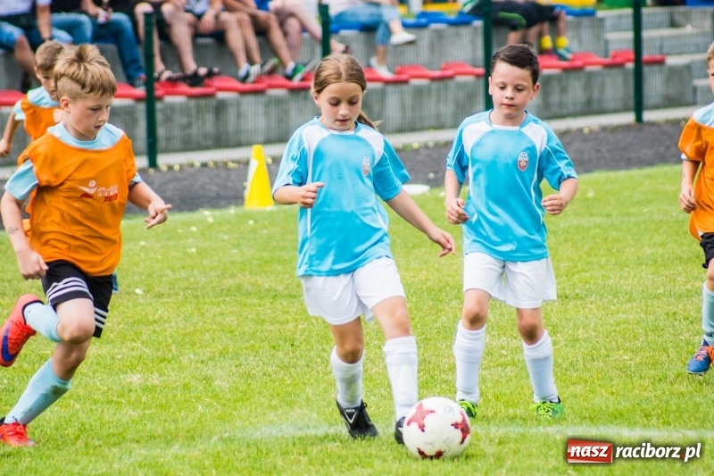 Zdjęcie w galerii na portalu naszraciborz.pl: Piłkarskie zmagania żaków młodszych podczas Tworków Cup 2018 wiadomości z regionu