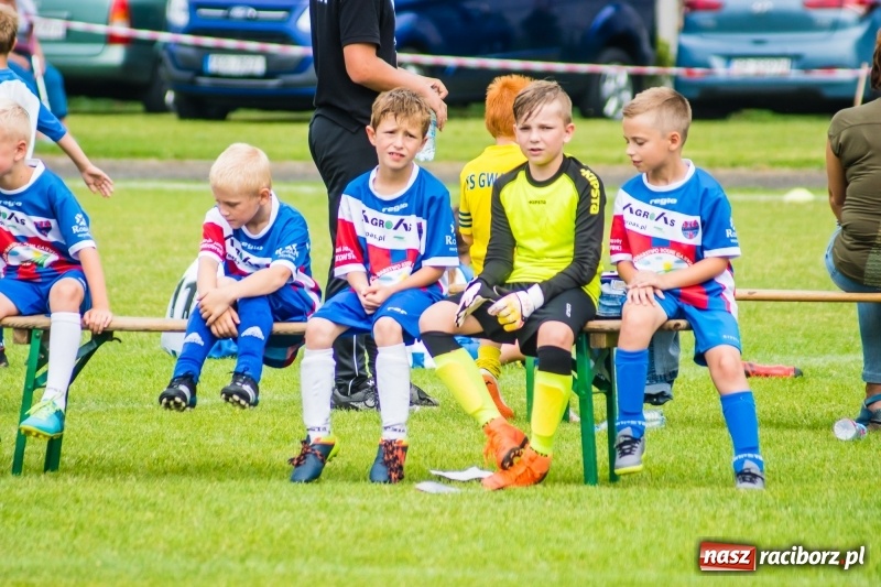 Zdjęcie w galerii na portalu naszraciborz.pl: Piłkarskie zmagania żaków młodszych podczas Tworków Cup 2018 wiadomości z regionu