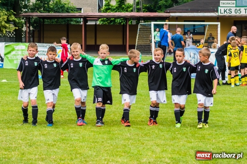 Zdjęcie w galerii na portalu naszraciborz.pl: Piłkarskie zmagania żaków młodszych podczas Tworków Cup 2018 wiadomości z regionu