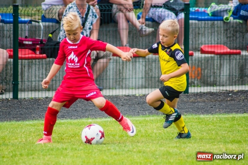 Zdjęcie w galerii na portalu naszraciborz.pl: Piłkarskie zmagania żaków młodszych podczas Tworków Cup 2018 wiadomości z regionu