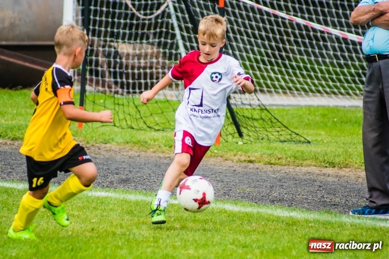 Zdjęcie w galerii na portalu naszraciborz.pl: Piłkarskie zmagania żaków młodszych podczas Tworków Cup 2018 wiadomości z regionu