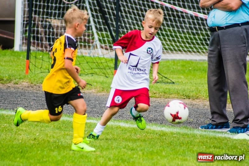Zdjęcie w galerii na portalu naszraciborz.pl: Piłkarskie zmagania żaków młodszych podczas Tworków Cup 2018 wiadomości z regionu