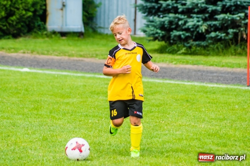 Zdjęcie w galerii na portalu naszraciborz.pl: Piłkarskie zmagania żaków młodszych podczas Tworków Cup 2018 wiadomości z regionu