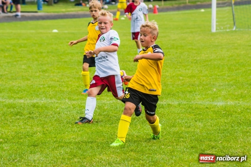 Zdjęcie w galerii na portalu naszraciborz.pl: Piłkarskie zmagania żaków młodszych podczas Tworków Cup 2018 wiadomości z regionu