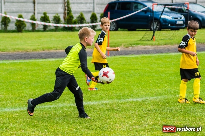 Zdjęcie w galerii na portalu naszraciborz.pl: Piłkarskie zmagania żaków młodszych podczas Tworków Cup 2018 wiadomości z regionu