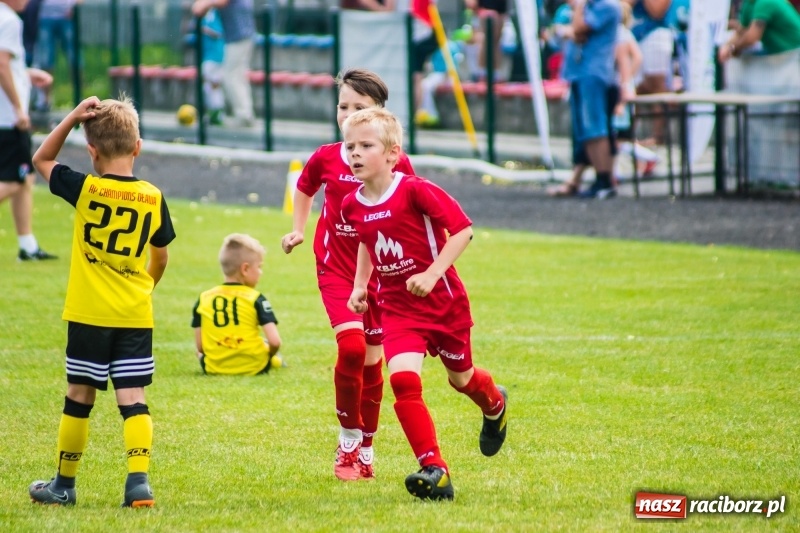 Zdjęcie w galerii na portalu naszraciborz.pl: Piłkarskie zmagania żaków młodszych podczas Tworków Cup 2018 wiadomości z regionu
