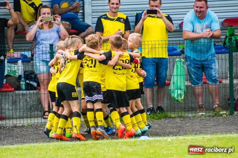 Zdjęcie w galerii na portalu naszraciborz.pl: Piłkarskie zmagania żaków młodszych podczas Tworków Cup 2018 wiadomości z regionu