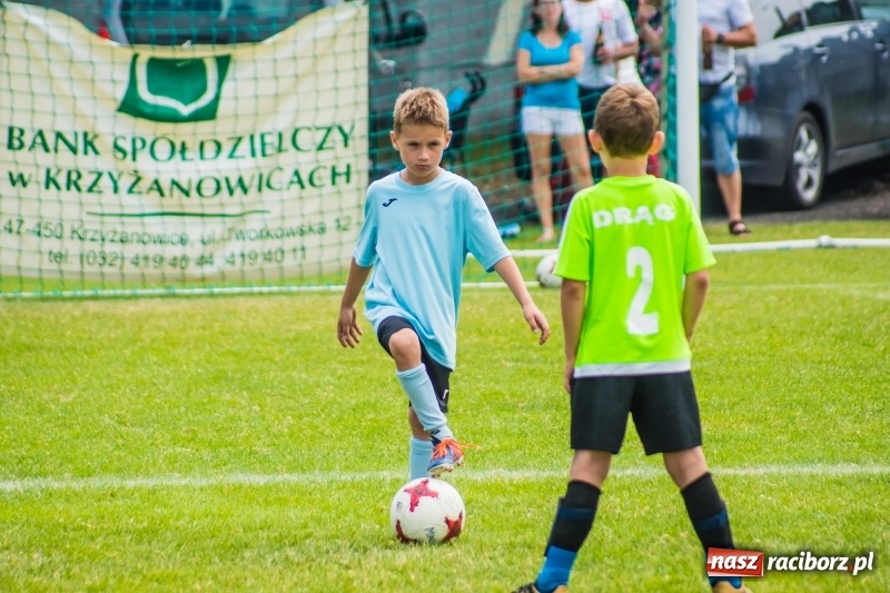 Zdjęcie w galerii na portalu naszraciborz.pl: Piłkarskie zmagania żaków młodszych podczas Tworków Cup 2018 wiadomości z regionu