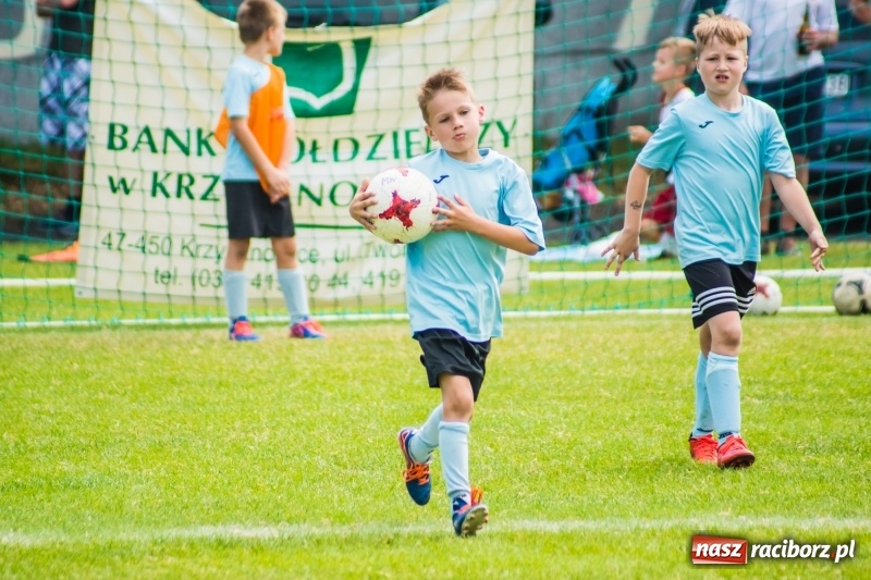 Zdjęcie w galerii na portalu naszraciborz.pl: Piłkarskie zmagania żaków młodszych podczas Tworków Cup 2018 wiadomości z regionu