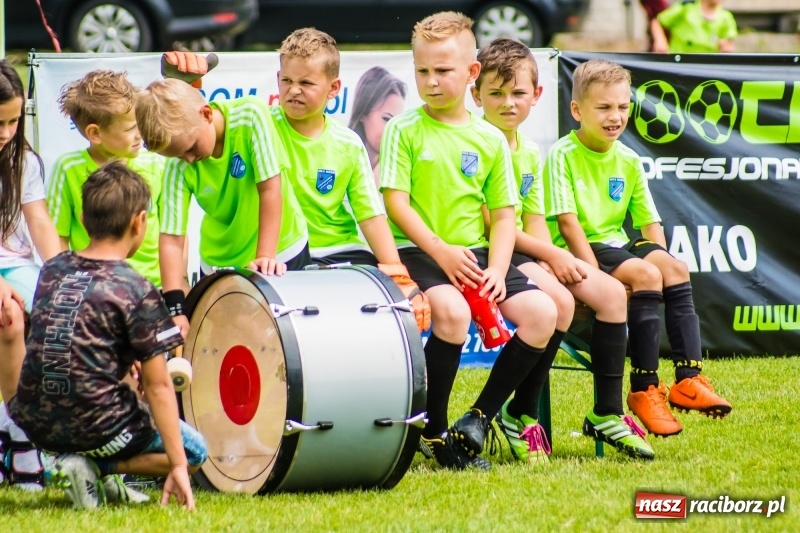 Zdjęcie w galerii na portalu naszraciborz.pl: Piłkarskie zmagania żaków młodszych podczas Tworków Cup 2018 wiadomości z regionu