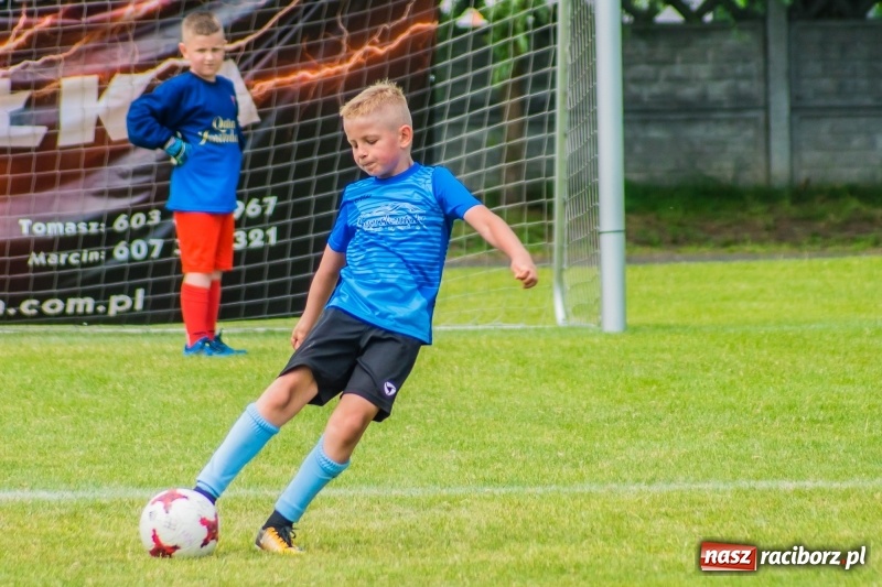 Zdjęcie w galerii na portalu naszraciborz.pl: Piłkarskie zmagania żaków młodszych podczas Tworków Cup 2018 wiadomości z regionu