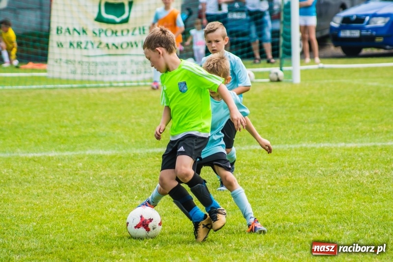 Zdjęcie w galerii na portalu naszraciborz.pl: Piłkarskie zmagania żaków młodszych podczas Tworków Cup 2018 wiadomości z regionu