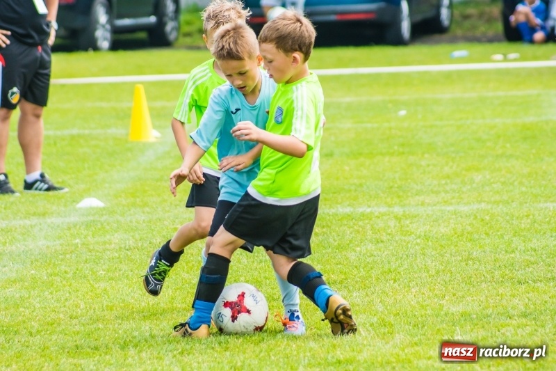 Zdjęcie w galerii na portalu naszraciborz.pl: Piłkarskie zmagania żaków młodszych podczas Tworków Cup 2018 wiadomości z regionu