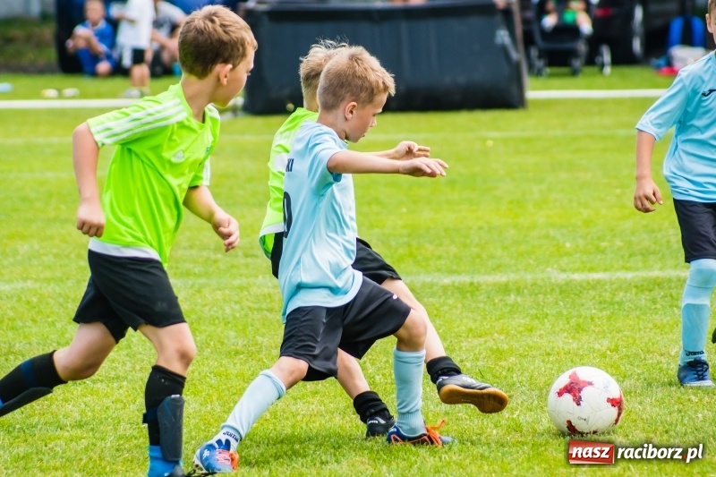 Zdjęcie w galerii na portalu naszraciborz.pl: Piłkarskie zmagania żaków młodszych podczas Tworków Cup 2018 wiadomości z regionu