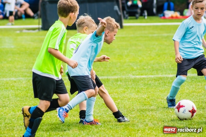 Zdjęcie w galerii na portalu naszraciborz.pl: Piłkarskie zmagania żaków młodszych podczas Tworków Cup 2018 wiadomości z regionu