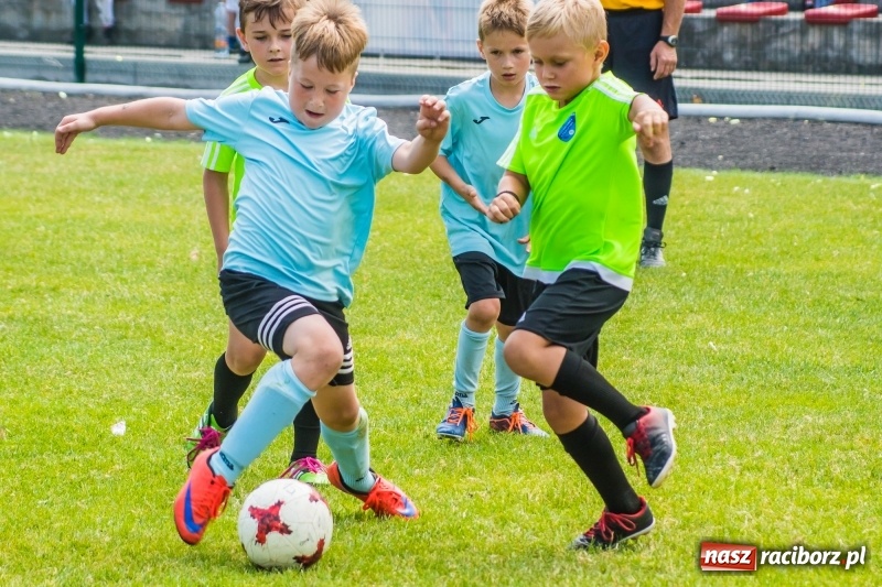 Zdjęcie w galerii na portalu naszraciborz.pl: Piłkarskie zmagania żaków młodszych podczas Tworków Cup 2018 wiadomości z regionu