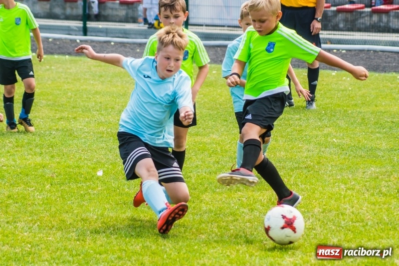 Zdjęcie w galerii na portalu naszraciborz.pl: Piłkarskie zmagania żaków młodszych podczas Tworków Cup 2018 wiadomości z regionu