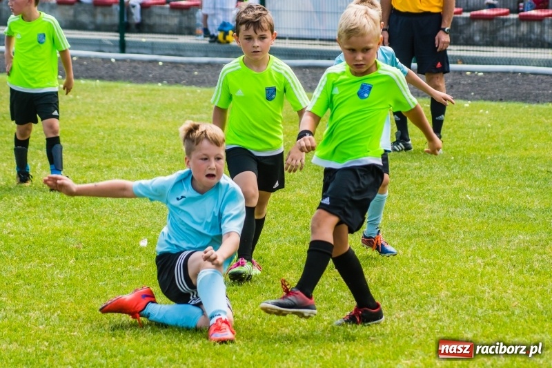 Zdjęcie w galerii na portalu naszraciborz.pl: Piłkarskie zmagania żaków młodszych podczas Tworków Cup 2018 wiadomości z regionu