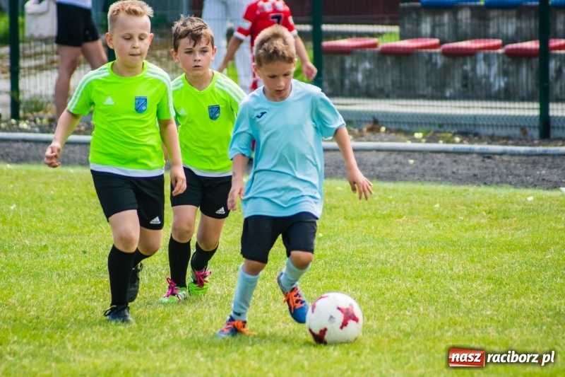 Zdjęcie w galerii na portalu naszraciborz.pl: Piłkarskie zmagania żaków młodszych podczas Tworków Cup 2018 wiadomości z regionu