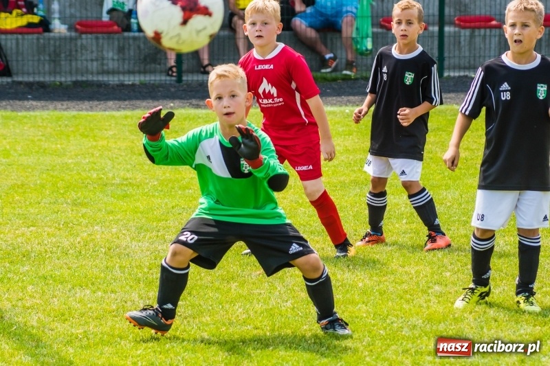 Zdjęcie w galerii na portalu naszraciborz.pl: Piłkarskie zmagania żaków młodszych podczas Tworków Cup 2018 wiadomości z regionu