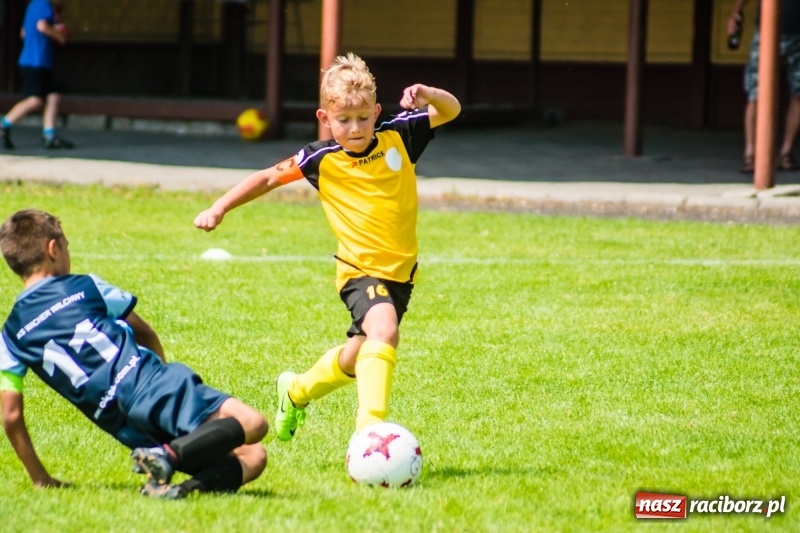 Zdjęcie w galerii na portalu naszraciborz.pl: Piłkarskie zmagania żaków młodszych podczas Tworków Cup 2018 wiadomości z regionu