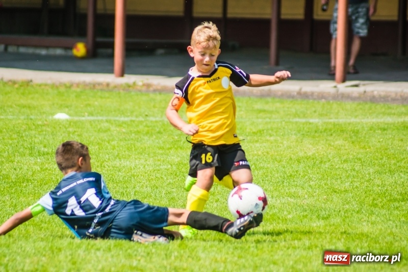 Zdjęcie w galerii na portalu naszraciborz.pl: Piłkarskie zmagania żaków młodszych podczas Tworków Cup 2018 wiadomości z regionu
