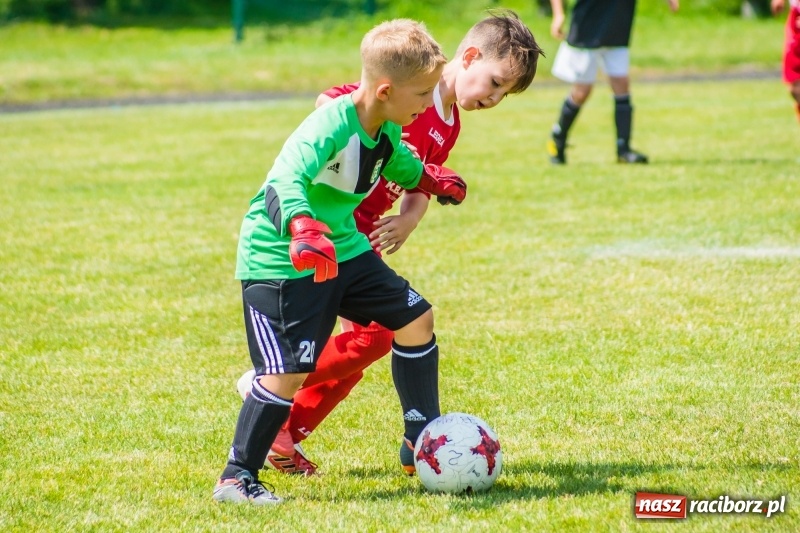 Zdjęcie w galerii na portalu naszraciborz.pl: Piłkarskie zmagania żaków młodszych podczas Tworków Cup 2018 wiadomości z regionu