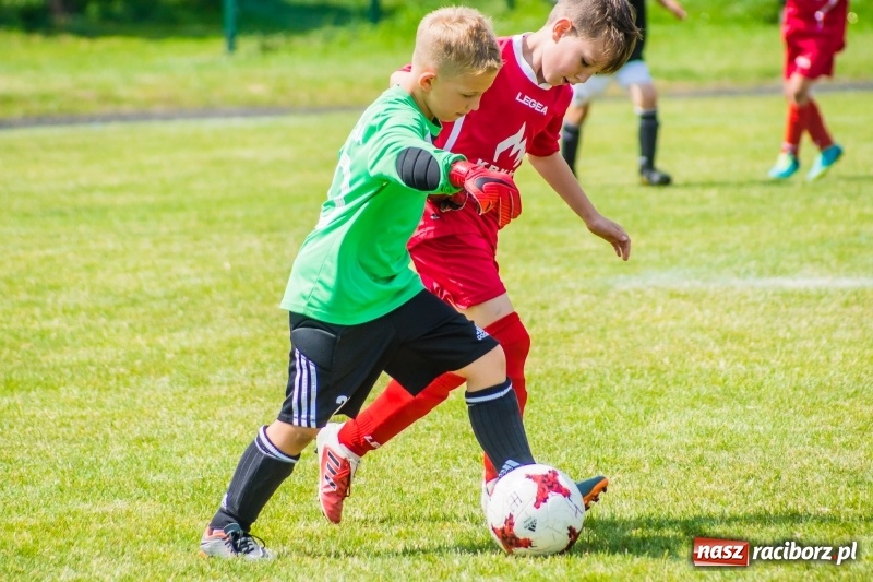 Zdjęcie w galerii na portalu naszraciborz.pl: Piłkarskie zmagania żaków młodszych podczas Tworków Cup 2018 wiadomości z regionu