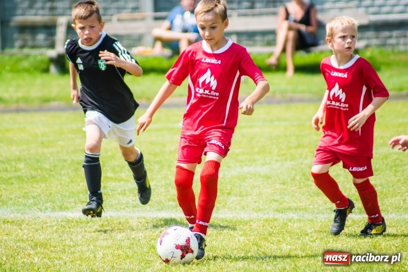 Zdjęcie w galerii na portalu naszraciborz.pl: Piłkarskie zmagania żaków młodszych podczas Tworków Cup 2018 wiadomości z regionu