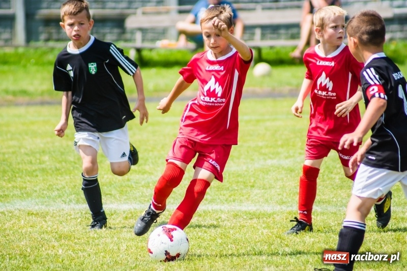Zdjęcie w galerii na portalu naszraciborz.pl: Piłkarskie zmagania żaków młodszych podczas Tworków Cup 2018 wiadomości z regionu