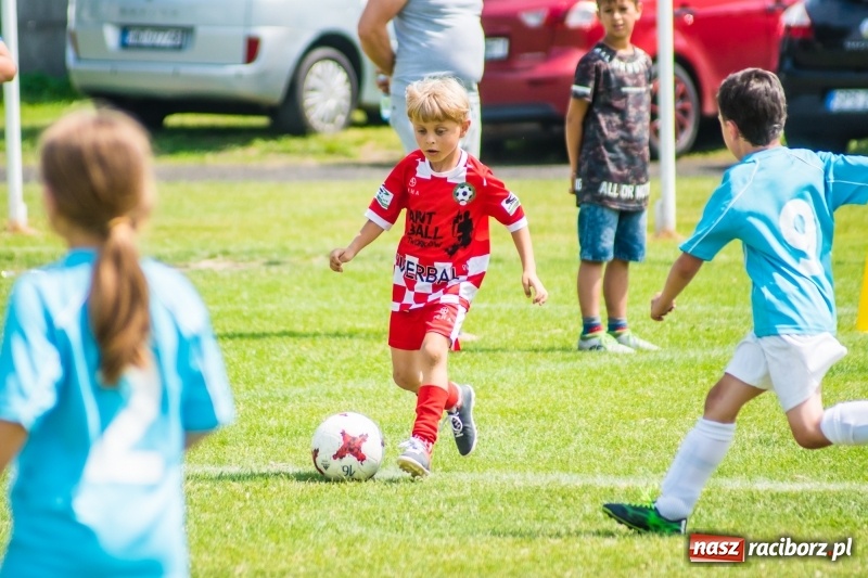 Zdjęcie w galerii na portalu naszraciborz.pl: Piłkarskie zmagania żaków młodszych podczas Tworków Cup 2018 wiadomości z regionu